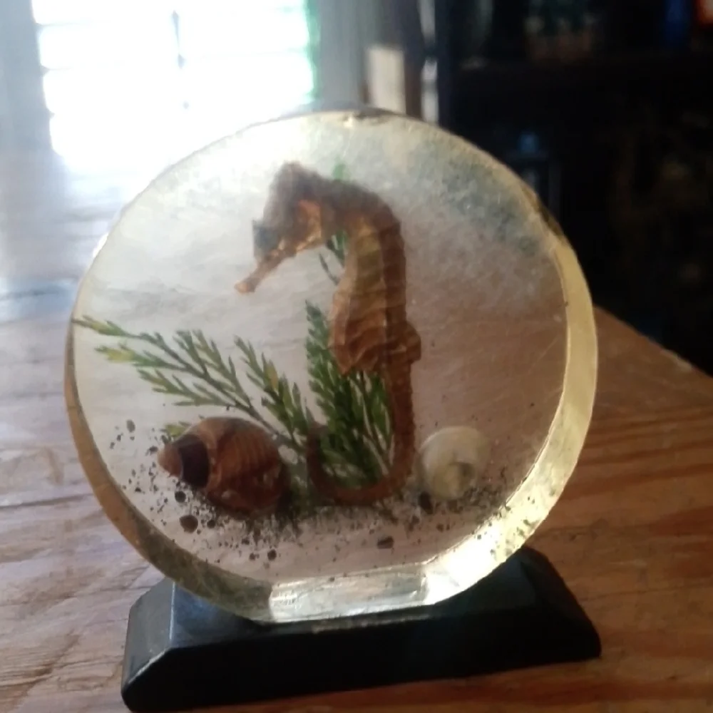 Seahorse Resin Display with Black Base